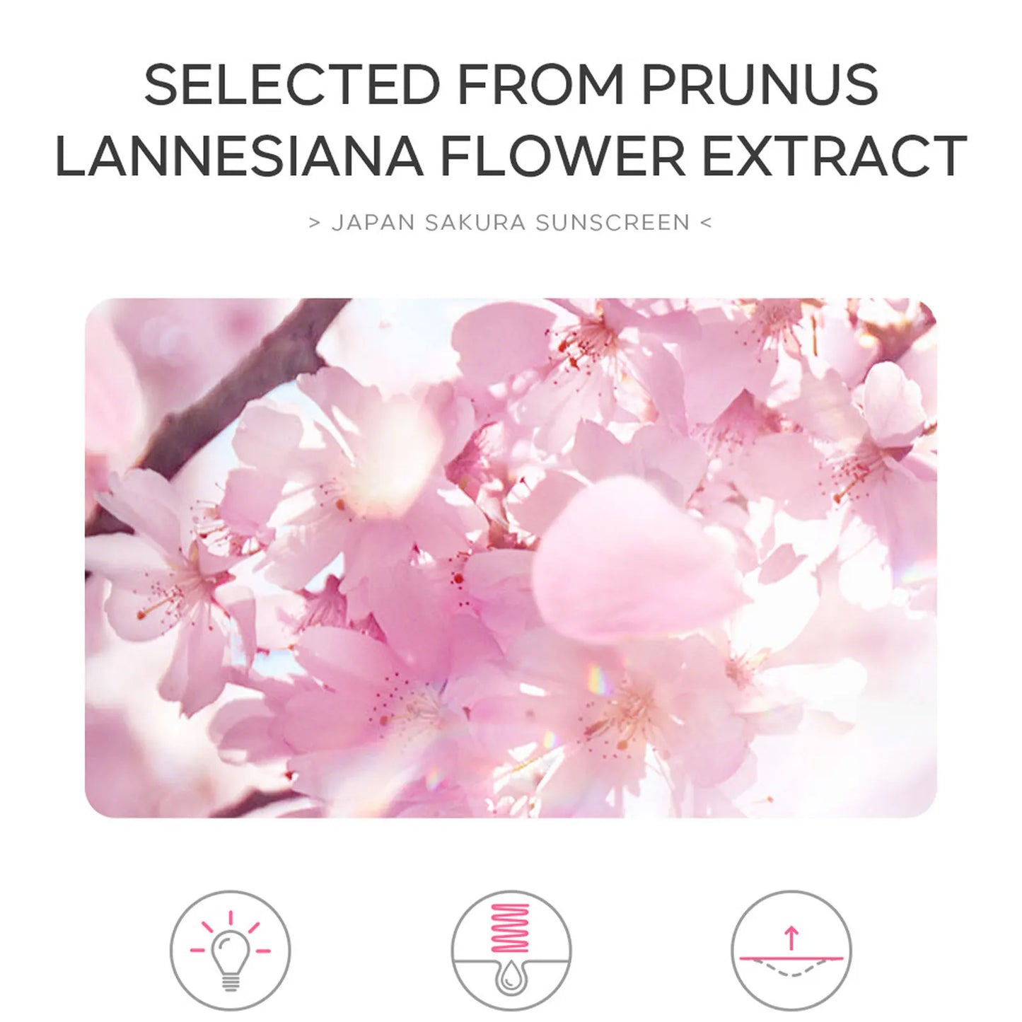 Sakura Sunscreen Cream SPF50 Facial Sun Block Isolation Lotion Cream SKIN Protector Brightning Moisturizer Lightning Cream