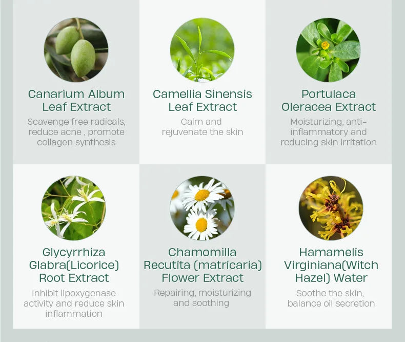 LAlKOU Tea Tree Cleanser Gentle Acne Treatment Blackhead Cleaner Shrink Pore Deep Clean Oil Control Moisturizing Face Skin Care